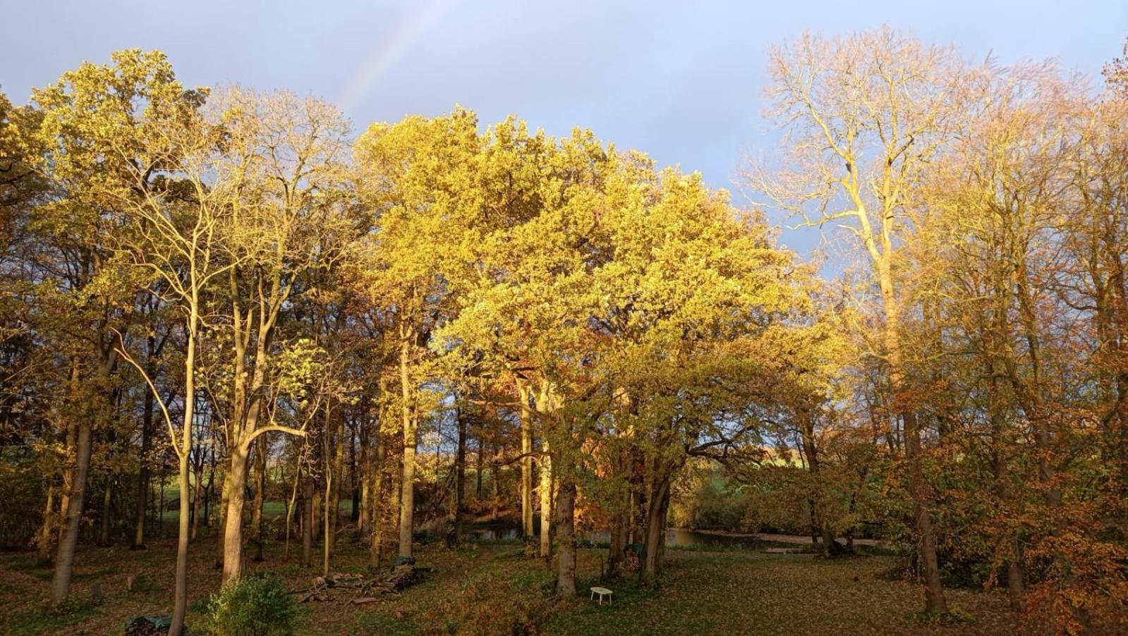 Herrenhaus Harmshagen Testorf-Steinfort エクステリア 写真